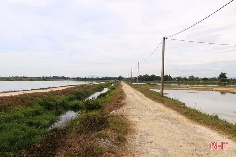 Dứt điểm việc thu hồi đất, tài sản dự án Làng TNXP nuôi trồng thủy sản Thạch Kênh