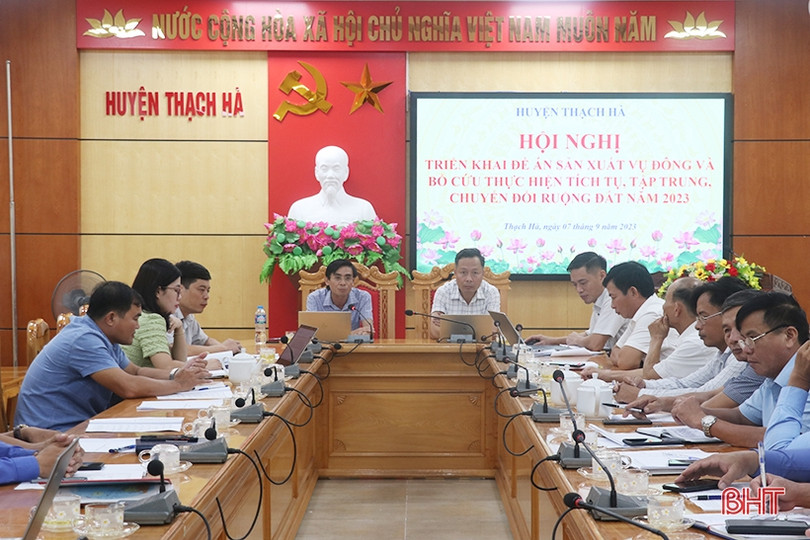 Thạch Hà phấn đấu gieo trồng hơn 1.000 ha cây trồng vụ đông