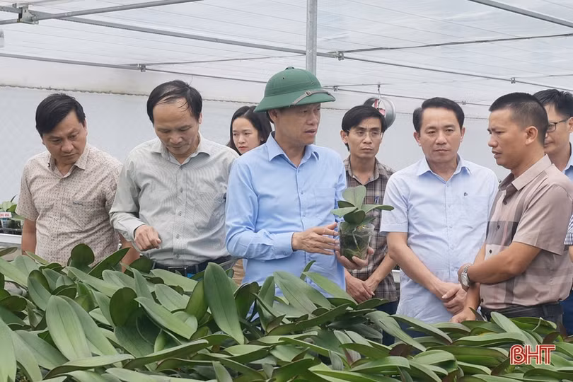 Chú trọng ứng dụng công nghệ cao trong sản xuất nông nghiệp, nâng tầm sản phẩm OCOP