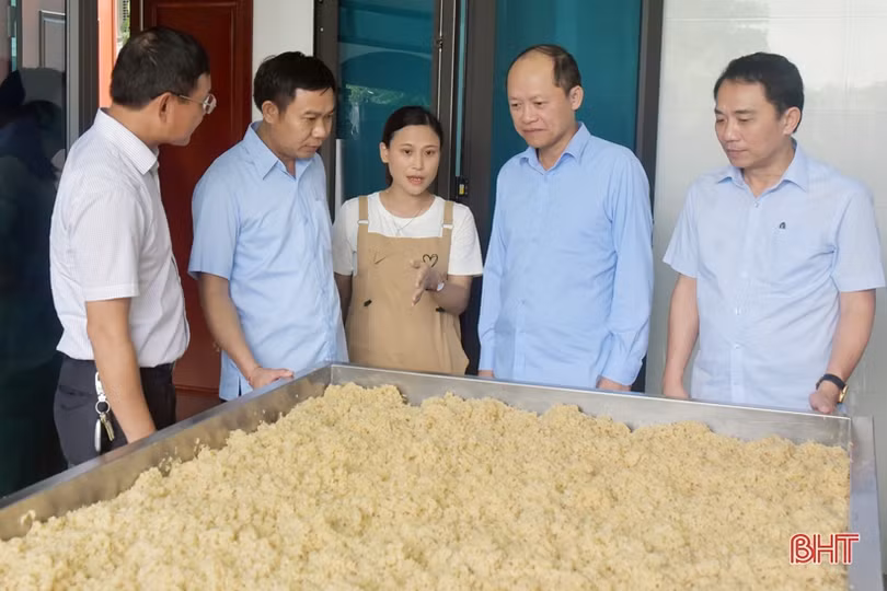 Chú trọng ứng dụng công nghệ cao trong sản xuất nông nghiệp, nâng tầm sản phẩm OCOP