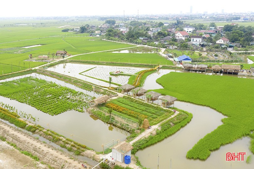 Khu du lịch sinh thái nông nghiệp Thạch Hạ là một trong những điểm du lịch sinh thái thu hút khá nhiều khách tham quan. 84d5100800t70730l0.jpg
