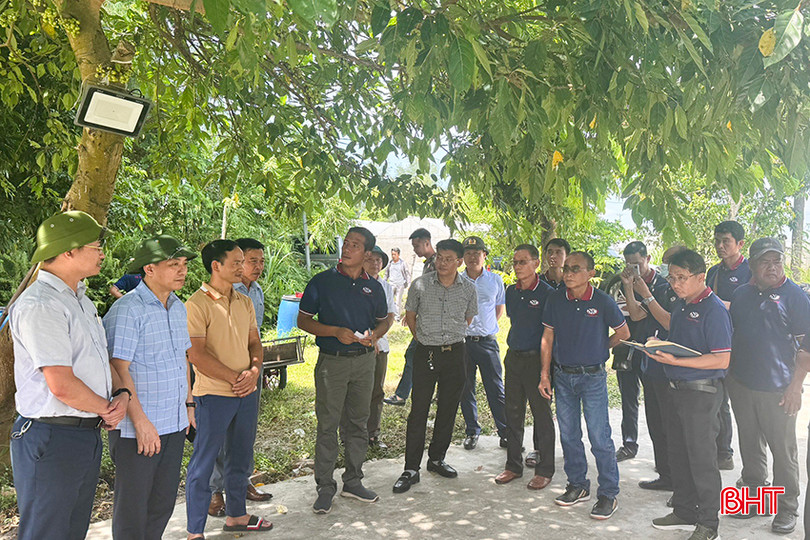 Tham quan mô hình nông nghiệp đô thị ở TP Hà Tĩnh. 4.jpg