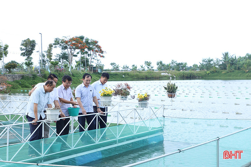 Phong trào thi đua trong Hội Nông dân tạo động lực trong toàn dân hăng say lao động, phát triển các mô hình kinh tế đô thị. z5555942196164_ffa64f3f8cb246d6ea477346e4630b00.jpg