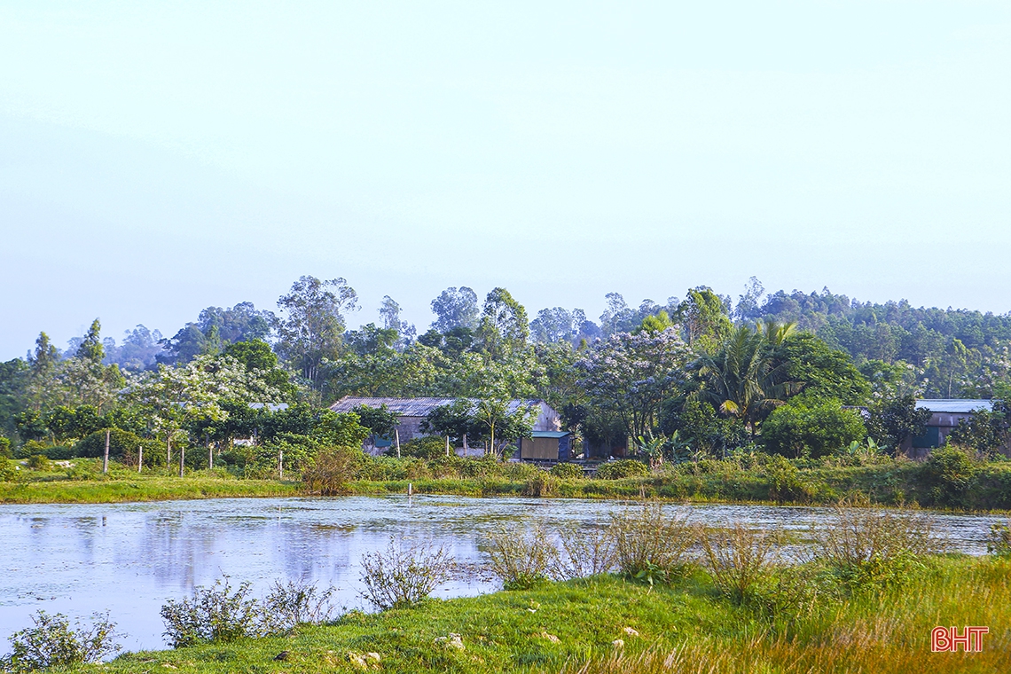 Hương sắc tháng Ba trên những miền quê Hà Tĩnh