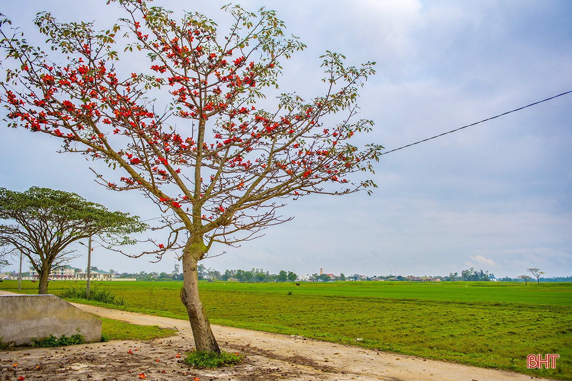 Hương sắc tháng Ba trên những miền quê Hà Tĩnh