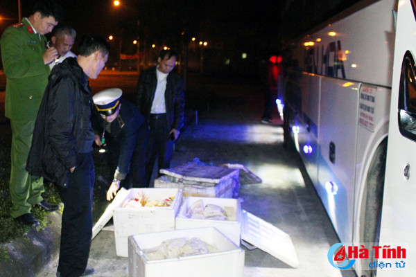 van chuyen 200 kg thit dong vat ban tu huong son vao da nang tieu thu