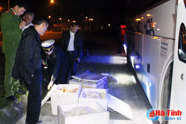 van chuyen 200 kg thit dong vat ban tu huong son vao da nang tieu thu