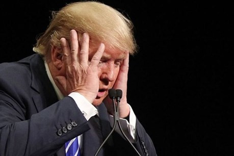 chinh phu va quoc hoi my no luc cuu van viec chinh phu dong cua