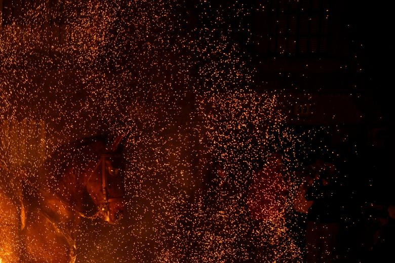 doc dao le hoi phi ngua qua lua o tay ban nha