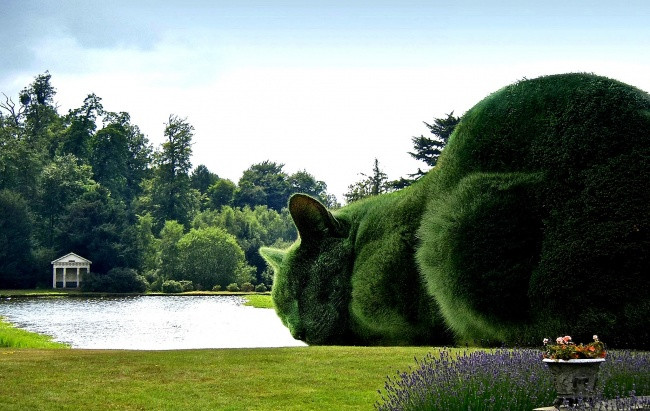 man nhan voi nhung tuyet tac tu thien nhien khong can photoshop