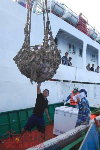 gian truan dua hang tet den truong sa