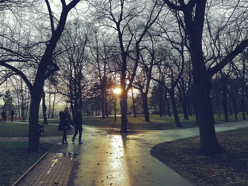 mua dong o chau au va suc hut ky la cua nhung con pho co