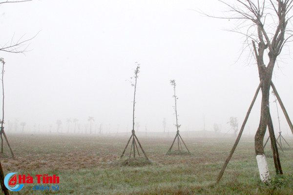 thanh pho ha tinh mo ao trong suong mu