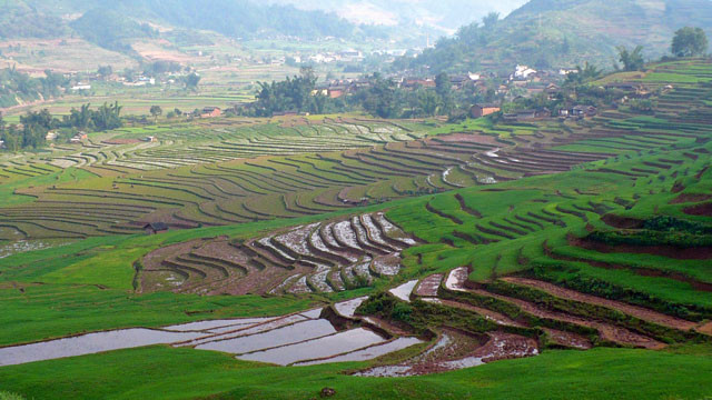 viet nam lot top 10 quoc gia san xuat lua gao lon nhat the gioi