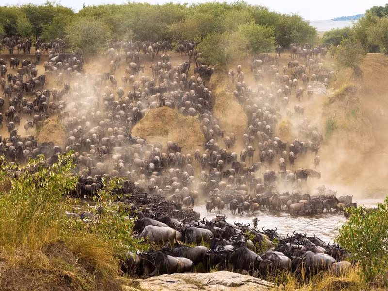 12 diem den than tien nam 2018
