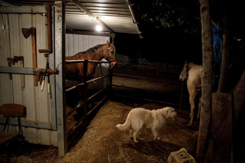 doc dao le hoi phi ngua qua lua o tay ban nha