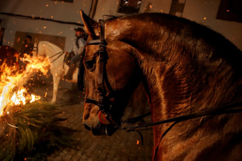 doc dao le hoi phi ngua qua lua o tay ban nha