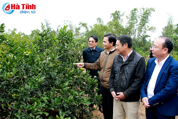 bai hoc kinh nghiem trong xay dung nong thon moi o nghi xuan