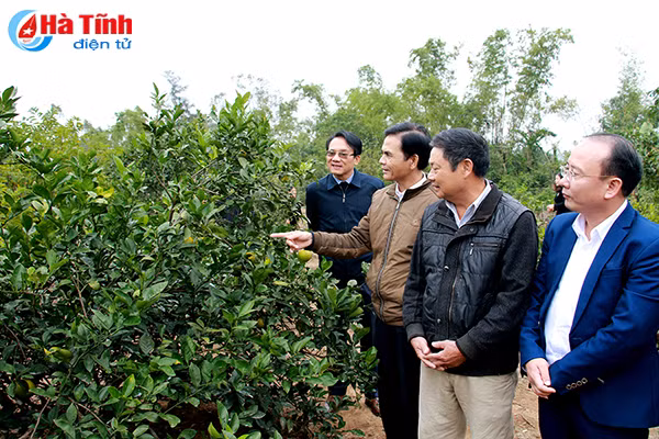 bai hoc kinh nghiem trong xay dung nong thon moi o nghi xuan