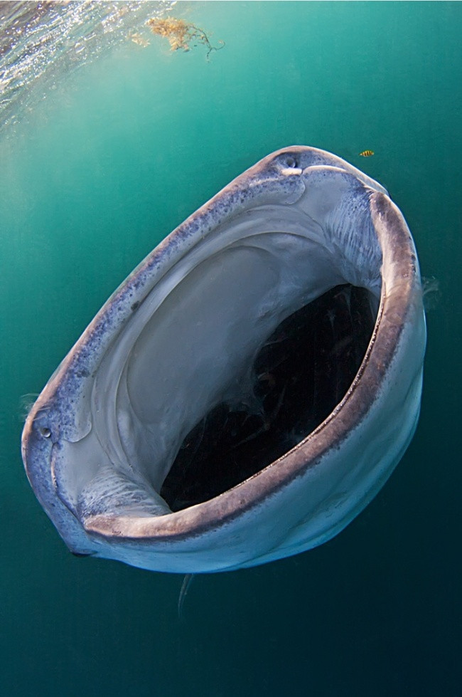 man nhan voi nhung tuyet tac tu thien nhien khong can photoshop