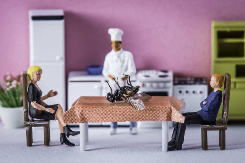 doc dao the gioi ti hon tu nhung vat dung thuong ngay