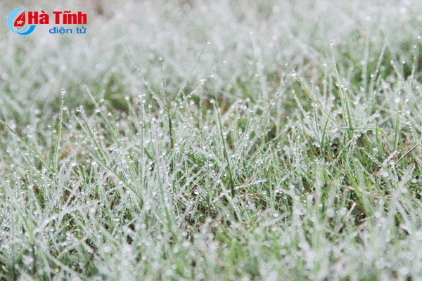 thanh pho ha tinh mo ao trong suong mu