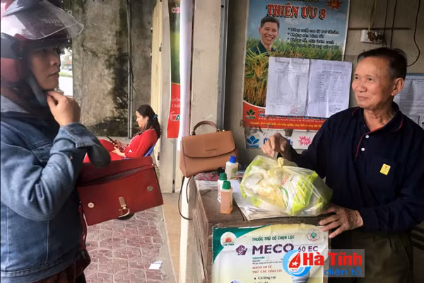 khan hiem giong chu luc nong dan don dao tim giong thay the