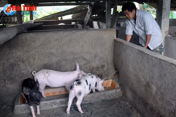 ha tinh xay dung thanh cong mo hinh an toan dich benh lmlm