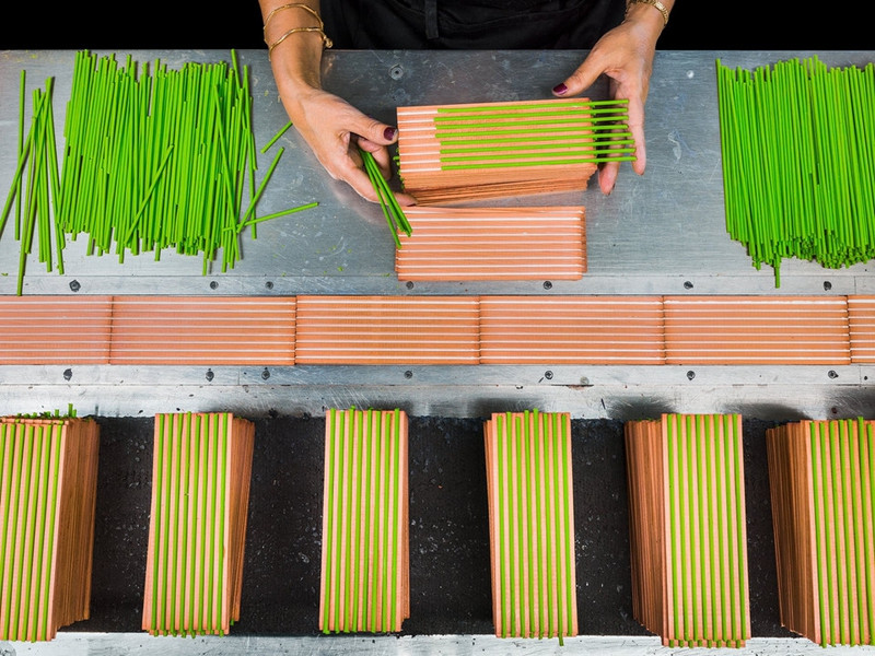 kham pha xuong lam but chi hiem hoi con lai o my