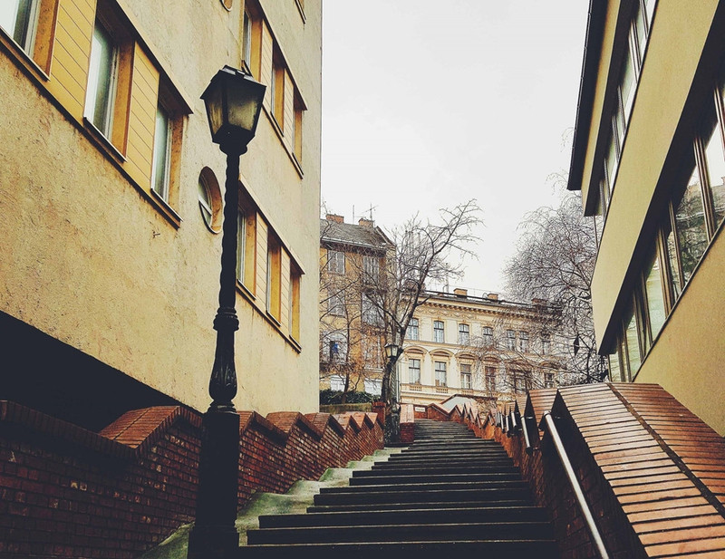 mua dong o chau au va suc hut ky la cua nhung con pho co