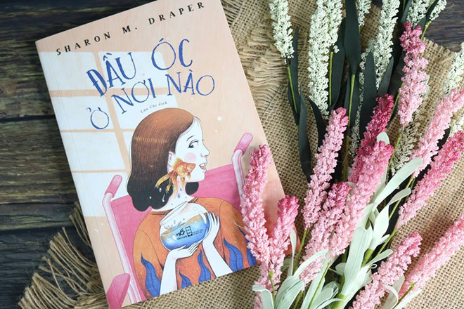 Đầu óc ở nơi nào được lấy cảm hứng từ căn bệnh liệt não của con gái nhà văn Sharon Draper. nhung cuon sach doc am long ngay se lanh