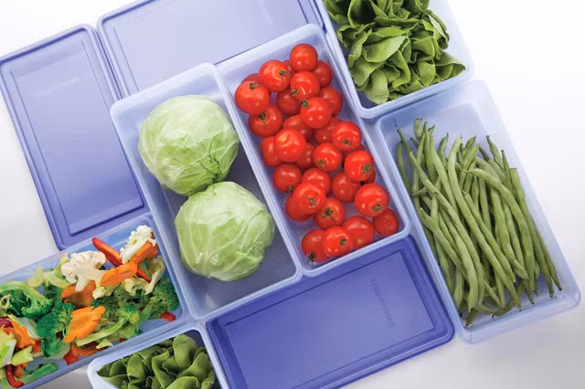 dung do nhua moi ngay ban hieu den dau ve nhua tai sinh nguyen sinh