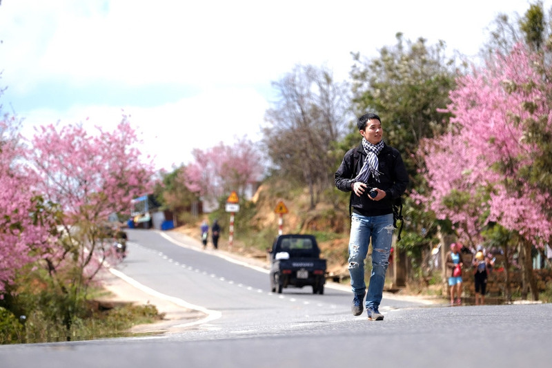 da lat bung sang mua mai anh dao