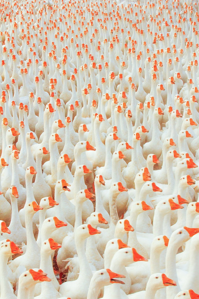 man nhan voi nhung tuyet tac tu thien nhien khong can photoshop