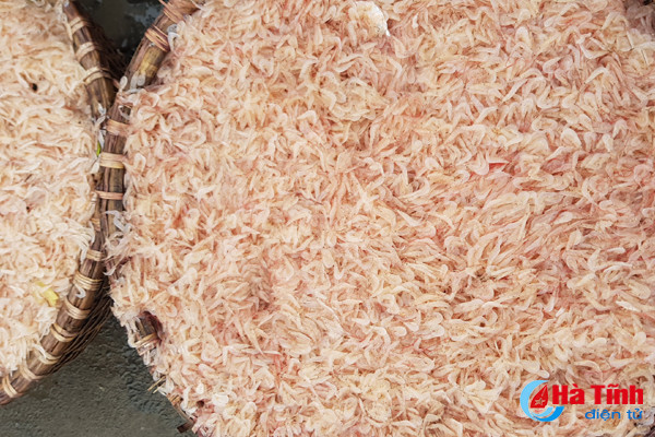 ngu dan trung dam cang cua sot don 80 tan ca com tep moi