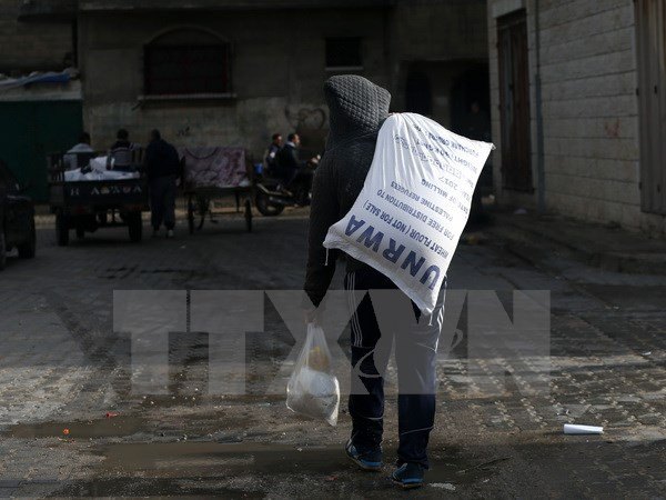 my thong bao viec cat khoan vien tro luong thuc cho palestine