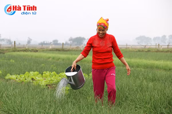 lo toan cho tet tuoi vui