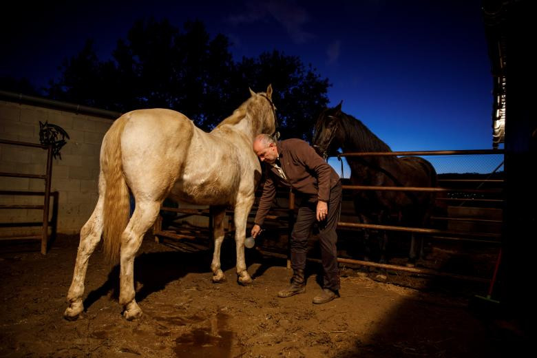 doc dao le hoi phi ngua qua lua o tay ban nha