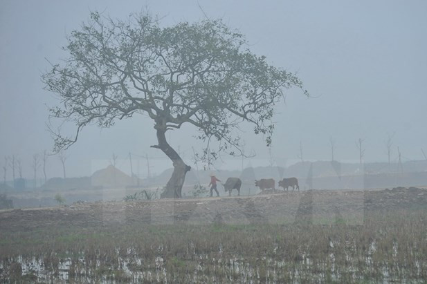 Các khu vực trên cả nước đều có mưa, sáng sớm có sương mù ảnh 1 cac khu vuc tren ca nuoc deu co mua sang som co suong mu