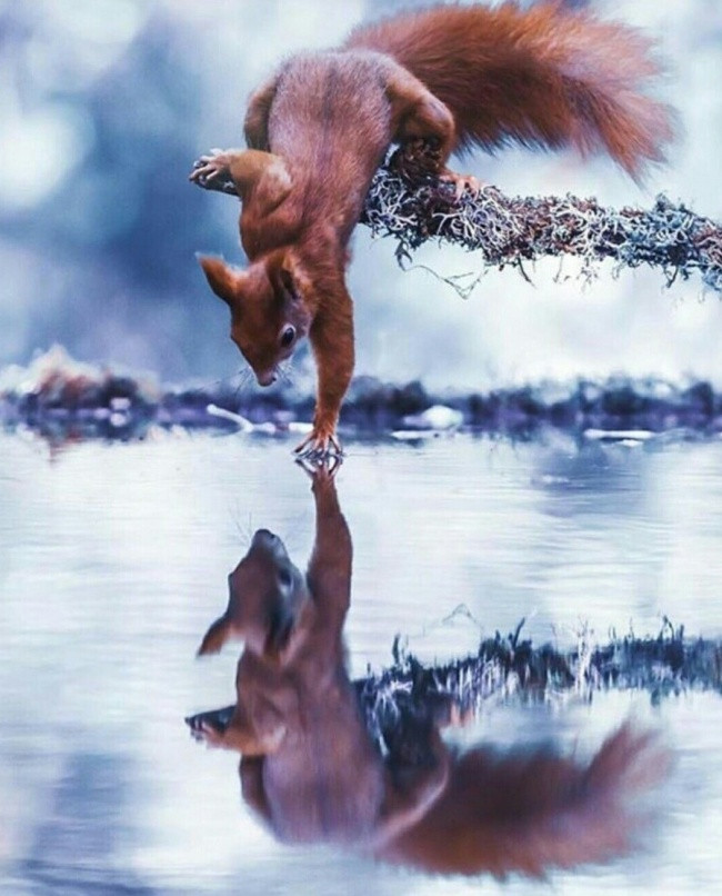 man nhan voi nhung tuyet tac tu thien nhien khong can photoshop