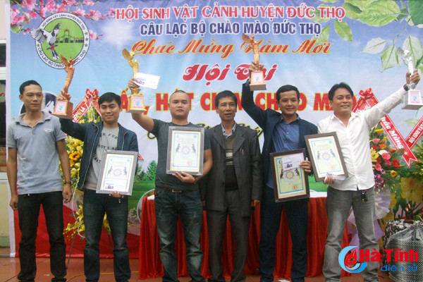 204 chu chim chao mao thi nhau dau hot o duc tho