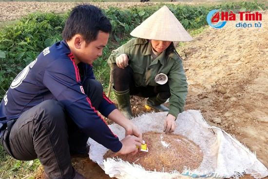 Do mang nặng tư tưởng mô hình được hỗ trợ tiền nên người dân đã trông chờ ỷ lại, thiếu đầu tư chăm sóc