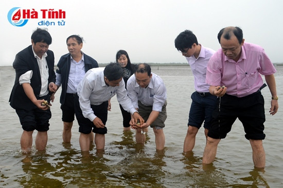 Hai năm liên tiếp, người nuôi ngao phải chịu cảnh trắng tay trước mùa thu hoạch vì thiên tai. Hai năm liên tiếp, người nuôi ngao phải chịu cảnh trắng tay trước mùa thu hoạch vì thiên tai.