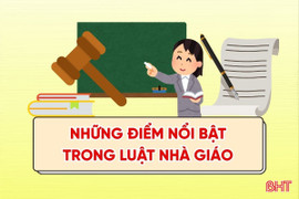[Motion Graphics] Những điểm nổi bật trong Luật Nhà giáo
