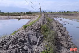 "Nút thắt" hạ tầng tại vùng nuôi trồng thủy sản Hải Ninh