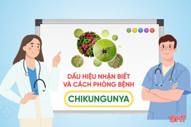 [Motion Graphics] Dấu hiệu nhận biết và cách phòng bệnh Chikungunya