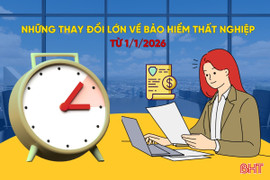[Motion Graphics] Những thay đổi lớn về bảo hiểm thất nghiệp từ 1/1/2026
