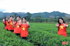 Trải nghiệm đồi chè Hương Đô