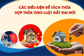 [Motion Graphics] Các điều kiện để tách thửa, hợp thửa theo Luật Đất đai mới