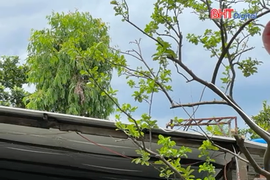 Trèo lên mái tôn kiểm tra dây điện, chủ nhà bị điện giật tử vong 